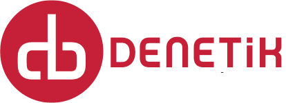 Denetik